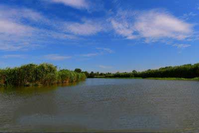 播州湿地公园