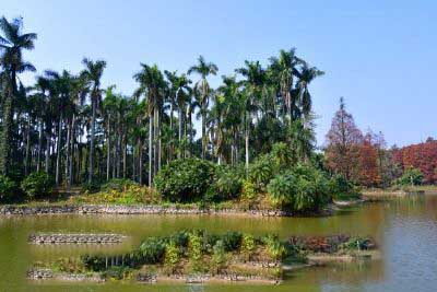 西双版纳热带植物园