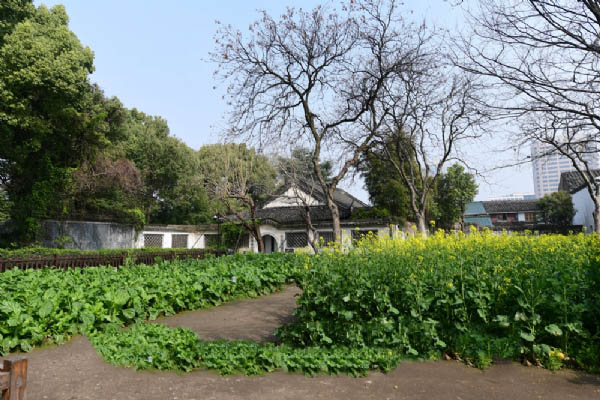 百草园占地约2000平方米，为周氏族人共有菜园。园内种植皂荚树、桑树等，有矮墙、水井等建筑 。