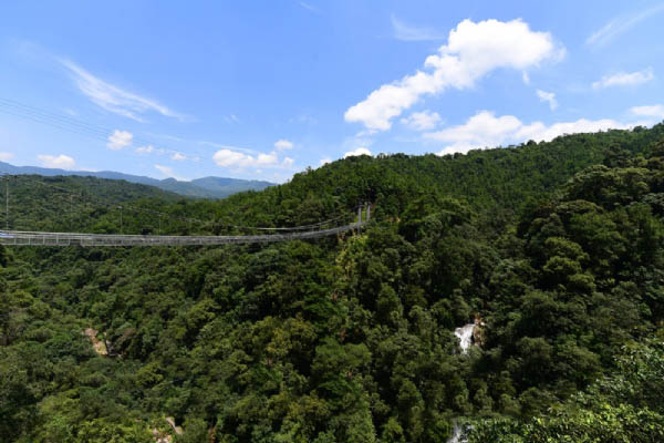 九龙江国家森林公园